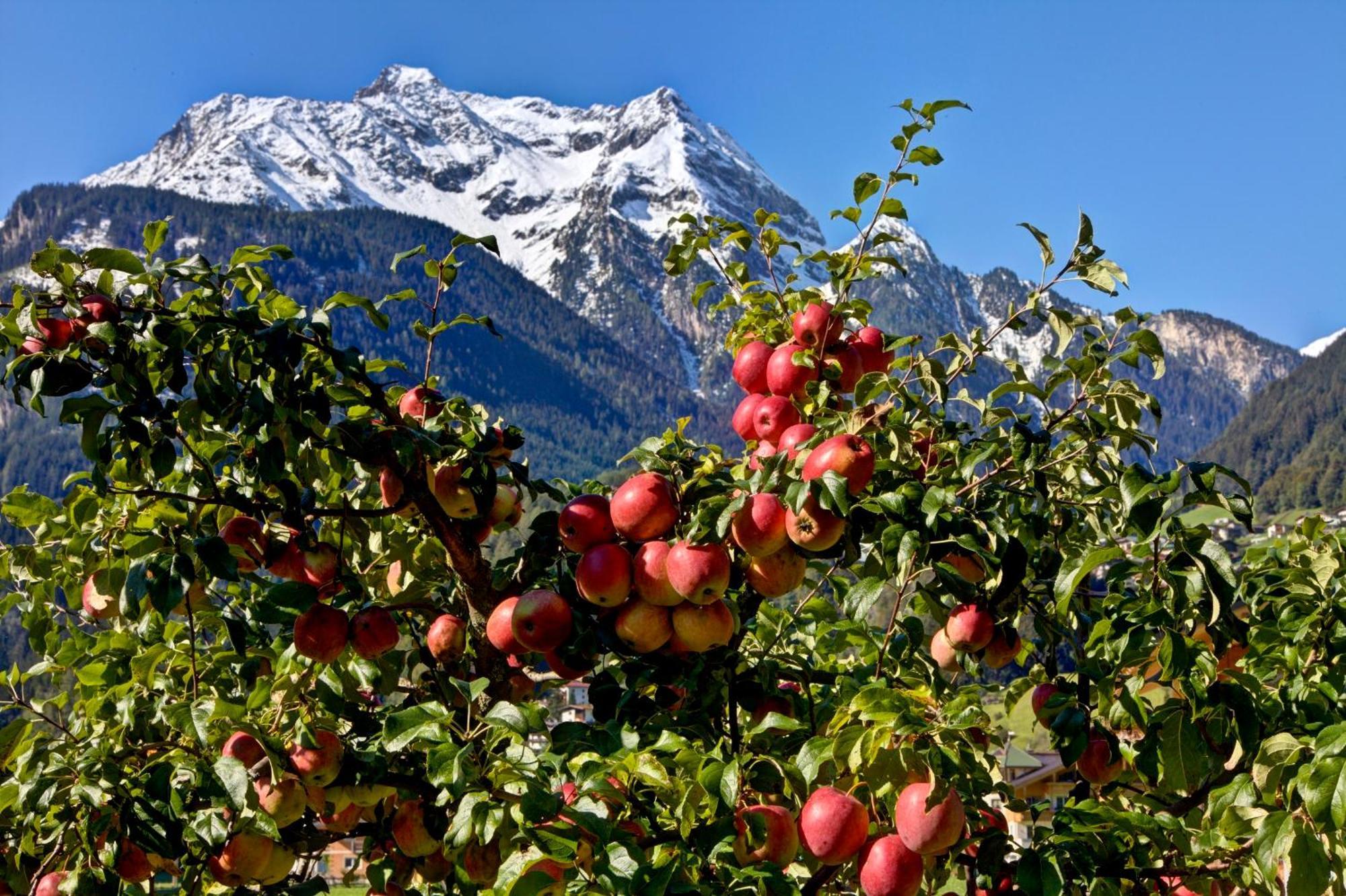 Gaestehaus Oblasser Mayrhofen Dış mekan fotoğraf